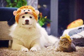 移動界面設(shè)計及開發(fā)